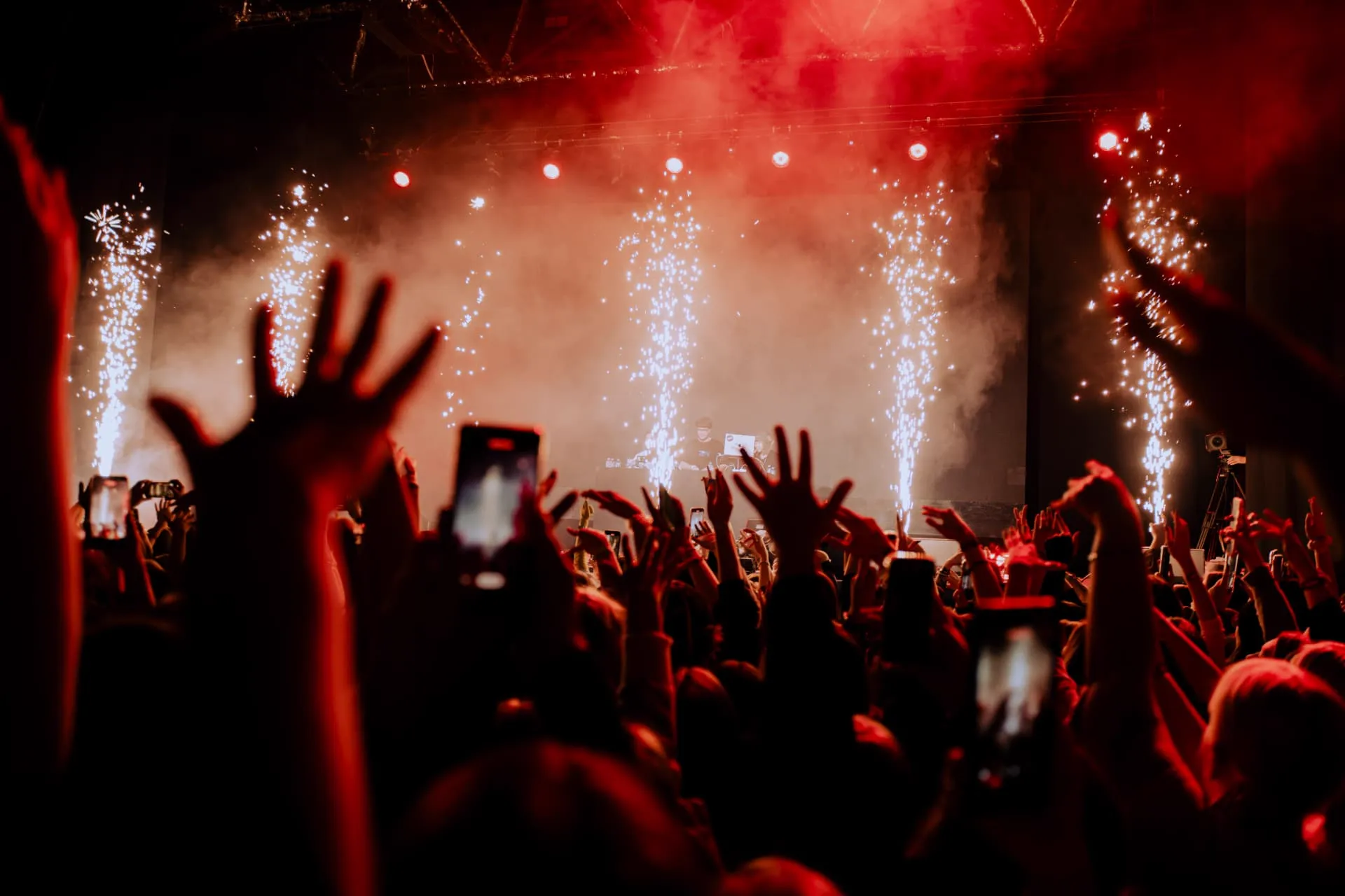 Fandom Fest 2025 — Festival project by TAPE Agency